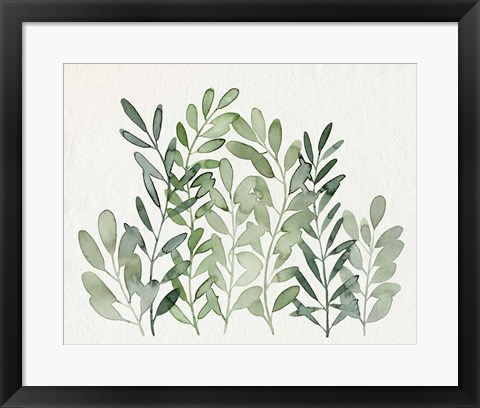 Framed Foraged Greens II Print