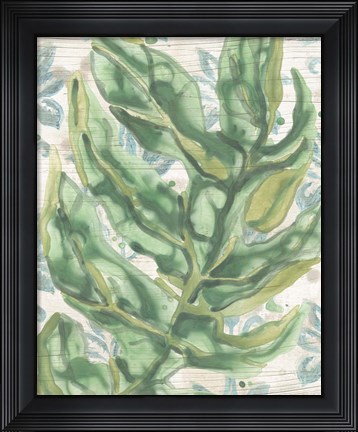 Framed Palms &amp; Patterns II Print