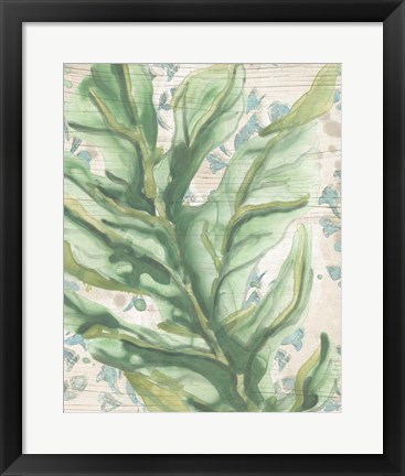 Framed Palms &amp; Patterns III Print