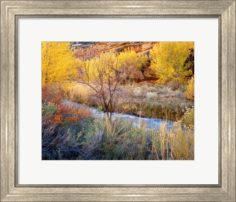 Framed Autumn Chaos Along The Fremont Print