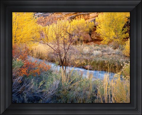 Framed Autumn Chaos Along The Fremont Print
