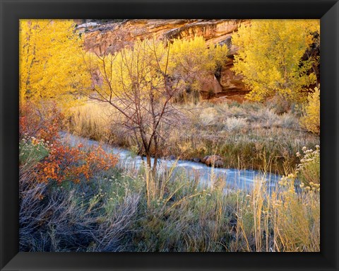 Framed Autumn Chaos Along The Fremont Print