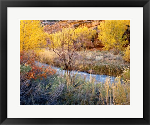 Framed Autumn Chaos Along The Fremont Print