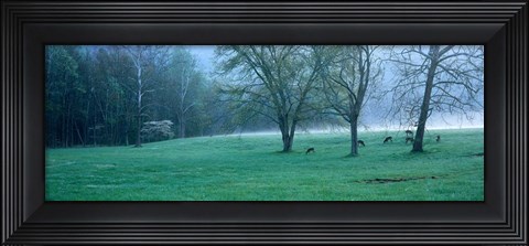 Framed Foggy Morning and Deer Print