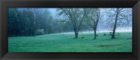 Framed Foggy Morning and Deer Print