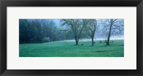 Framed Foggy Morning and Deer Print