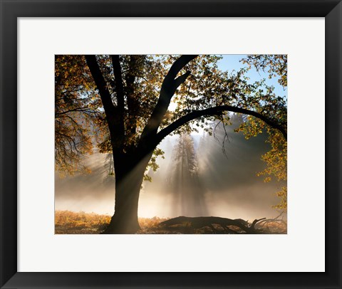 Framed Sunrays Through the Fog Print