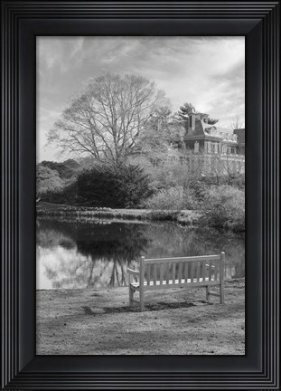 Framed Coastal Oak Series No. 63 Print