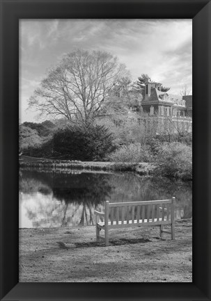 Framed Coastal Oak Series No. 63 Print