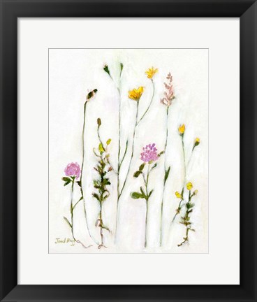 Framed Chamomile, Clover and Dandelion Print