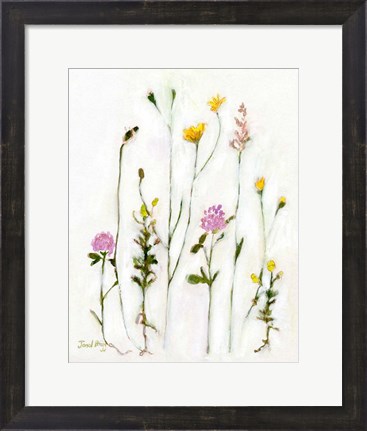 Framed Chamomile, Clover and Dandelion Print