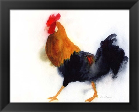 Framed Rooster on Kauai at Lydgate Park Print