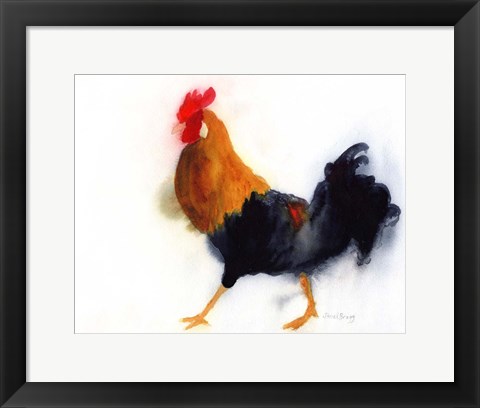 Framed Rooster on Kauai at Lydgate Park Print