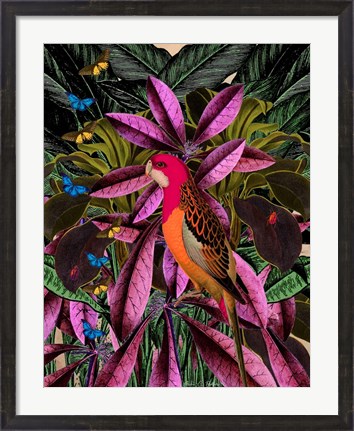 Framed Tropical Jungle No. 2 Print