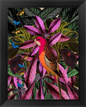 Framed Tropical Jungle No. 2 Print