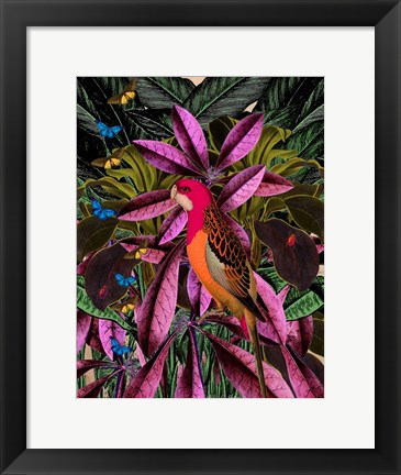 Framed Tropical Jungle No. 2 Print