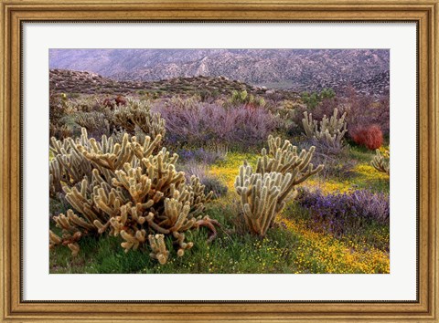 Framed Desert Cactus and Wildflowers Print