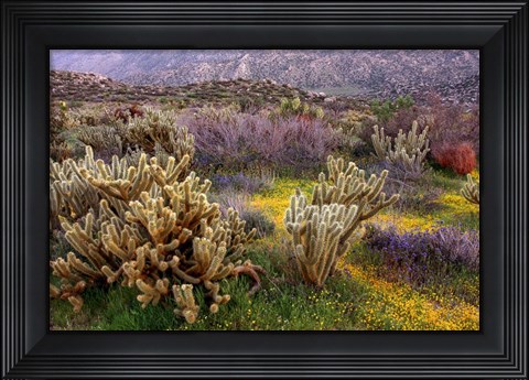 Framed Desert Cactus and Wildflowers Print