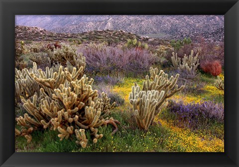 Framed Desert Cactus and Wildflowers Print