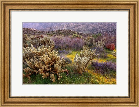 Framed Desert Cactus and Wildflowers Print