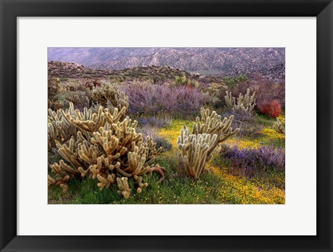 Framed Desert Cactus and Wildflowers Print