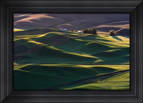 Framed Dream Land #3 Print