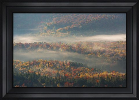 Framed Misty Morning Print