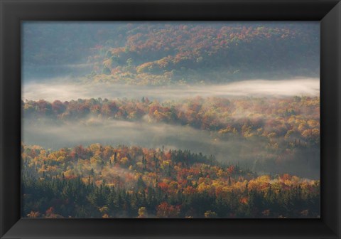 Framed Misty Morning Print