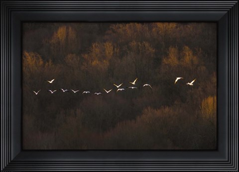 Framed Morning Mood Print