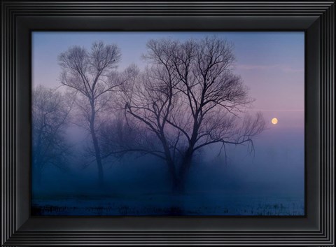 Framed Another new day Print