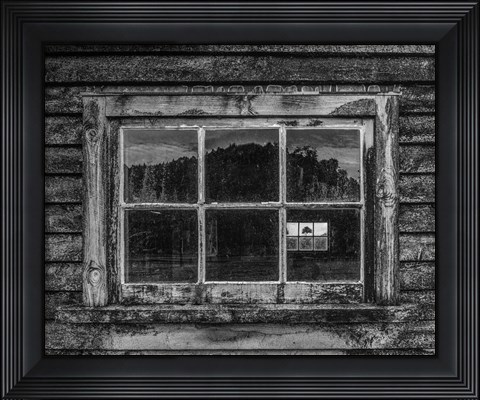 Framed Viewpoint Print