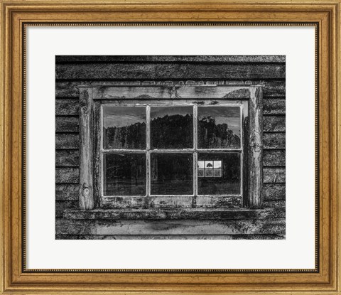 Framed Viewpoint Print