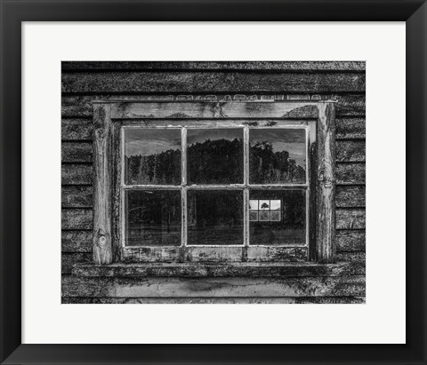 Framed Viewpoint Print