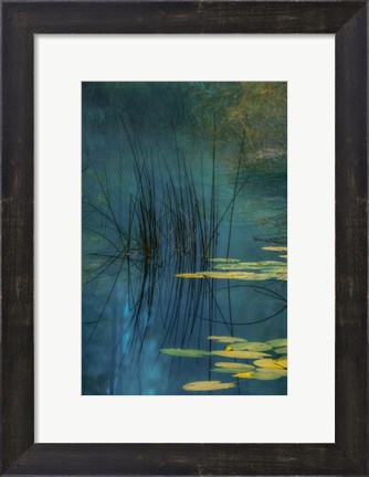 Framed Aqua Print