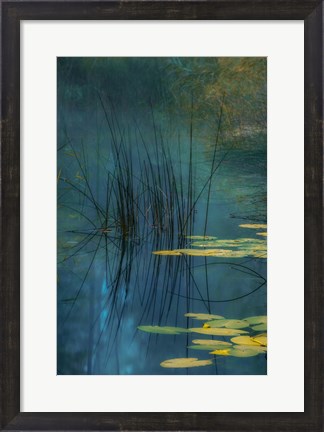Framed Aqua Print