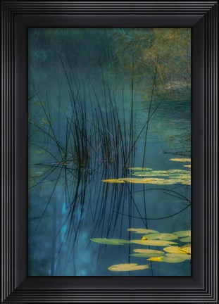 Framed Aqua Print