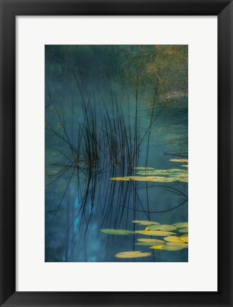 Framed Aqua Print