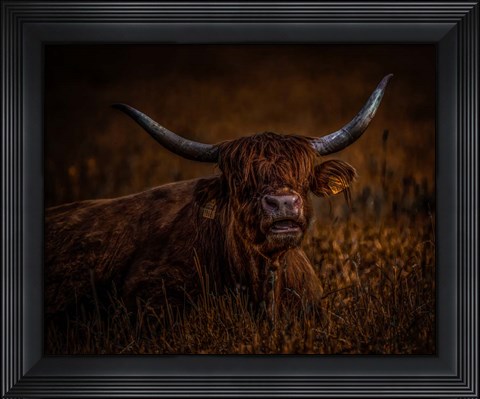 Framed On a break Print