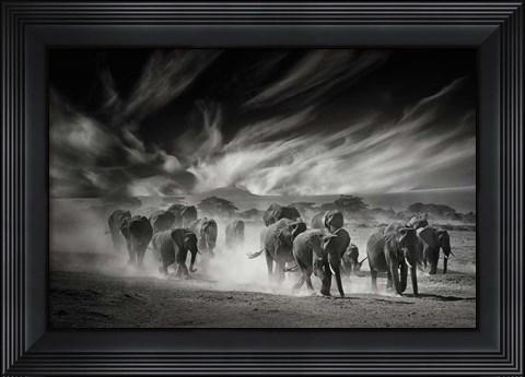 Framed Sky, Dust and Elephants Print