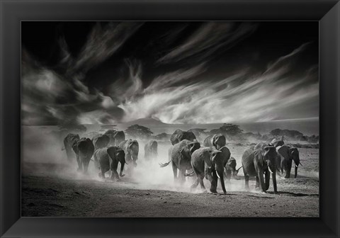 Framed Sky, Dust and Elephants Print