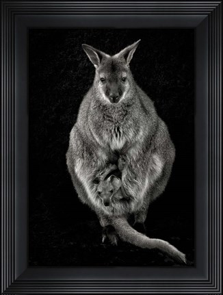 Framed Want to Emancipate Print