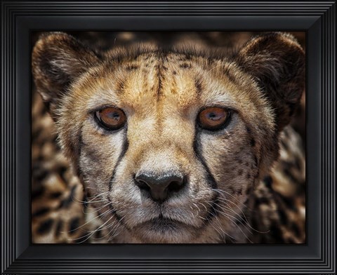 Framed I See Your Car Print