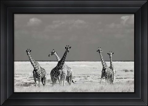 Framed Look Girl Strange Animals Print