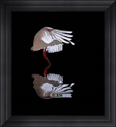 Framed Ave Print