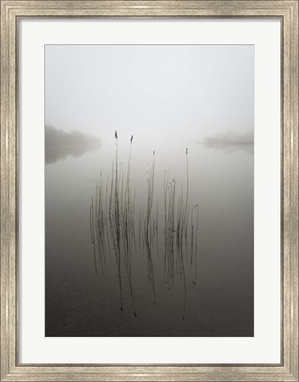 Framed Reeds in the Mist Print