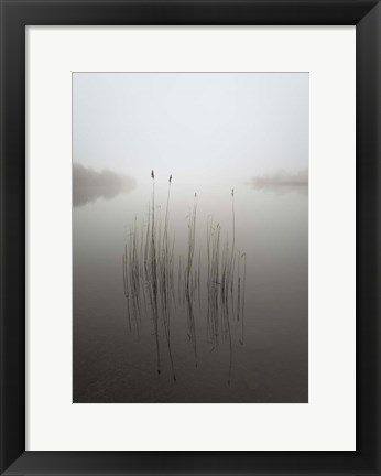 Framed Reeds in the Mist Print