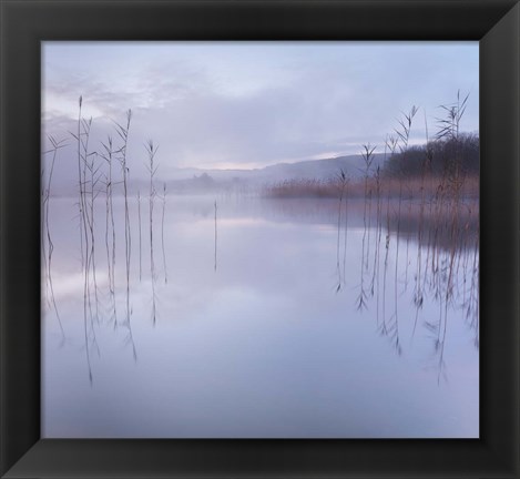 Framed Reflections in a Lake 1 Print