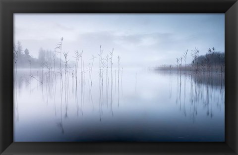 Framed Reflections in a Lake 2 Print