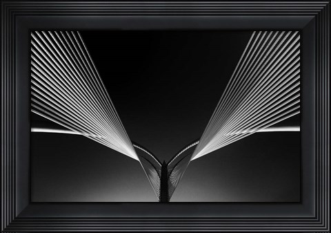 Framed Wings Print