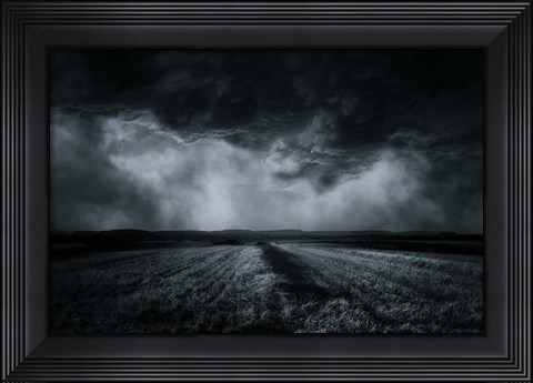 Framed Field Print